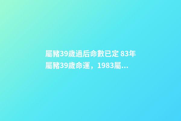 屬豬39歲過后命數已定 83年屬豬39歲命運，1983屬豬人的命運-第1張-觀點-玄機派